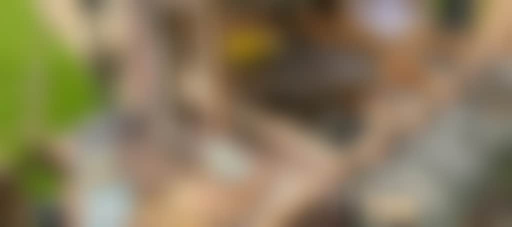 A2260648E9423947655Ea20F648F353A