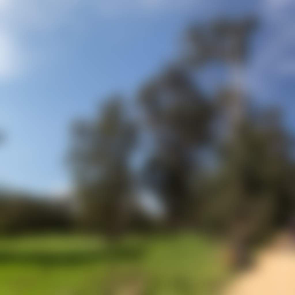 Cyclist on Grand Ridge Rail Trali