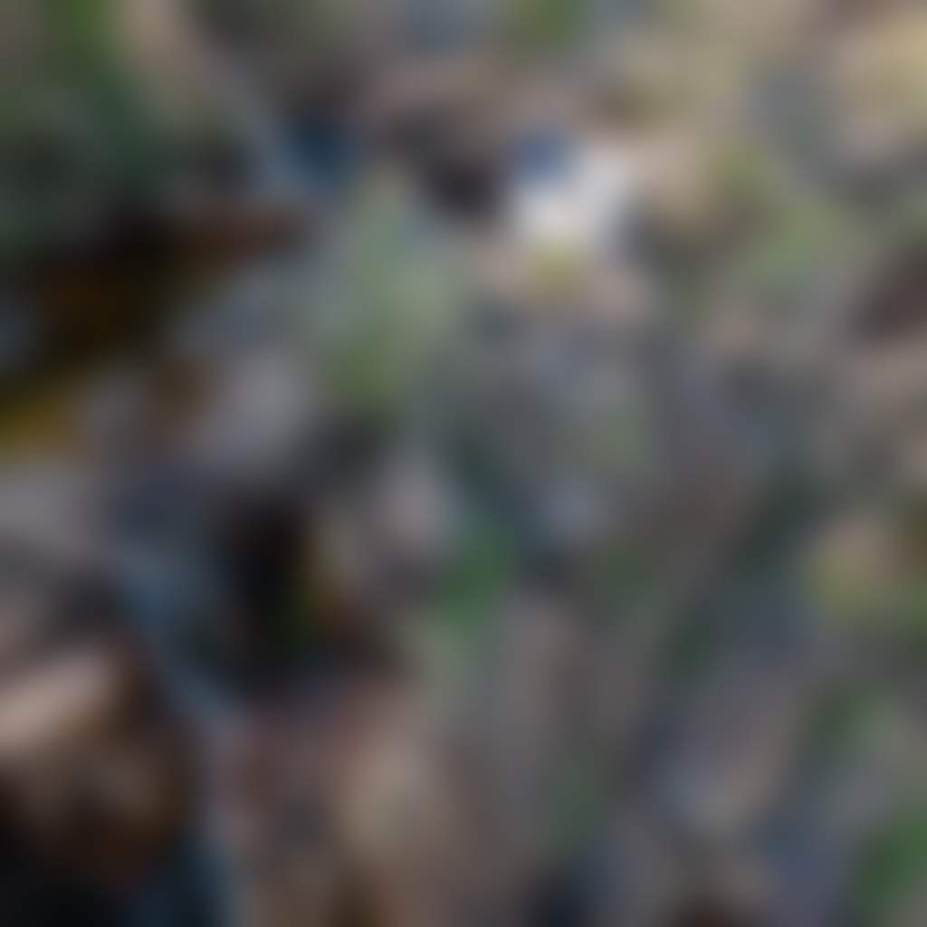 Woman sitting on picnic blanket at W Tree Falls near Buchan