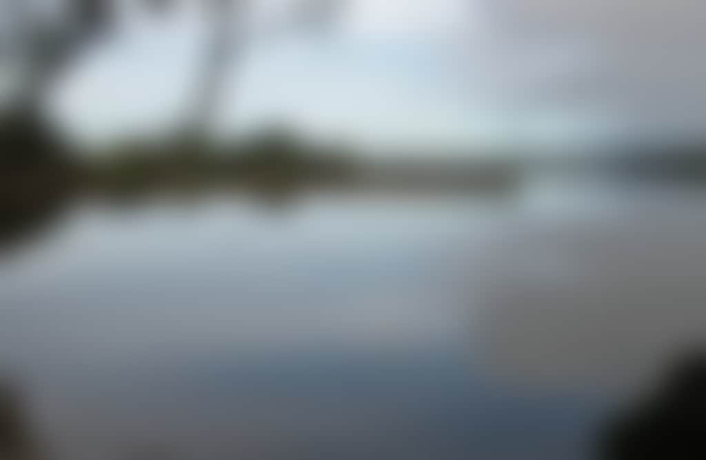 Lake Narracan still lake in Moe with gum tree sihoutted over water
