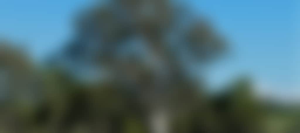 66Ec6A1D984D6Fc9Ae0D614D0347795E