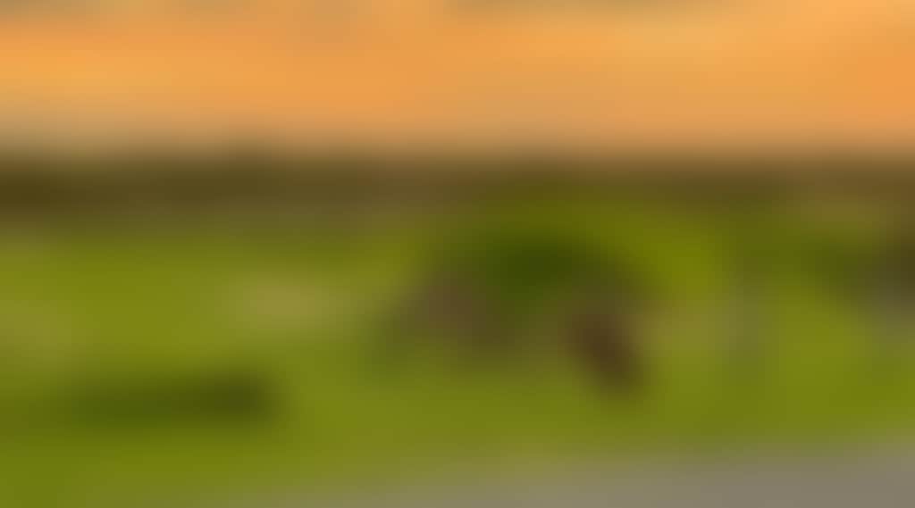 8Be1C0C2F292F16C1622Bd2616Ea6418