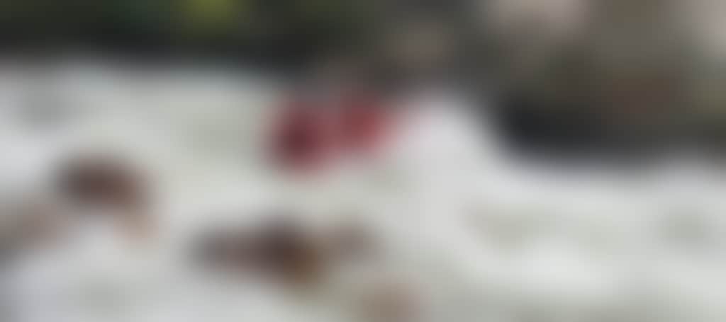 10216607Af56Da67Aa1133666Fb16Bc3