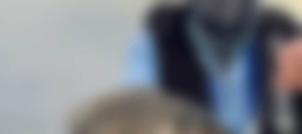 25E6A883C3575Aded72Aeddf76307E4B