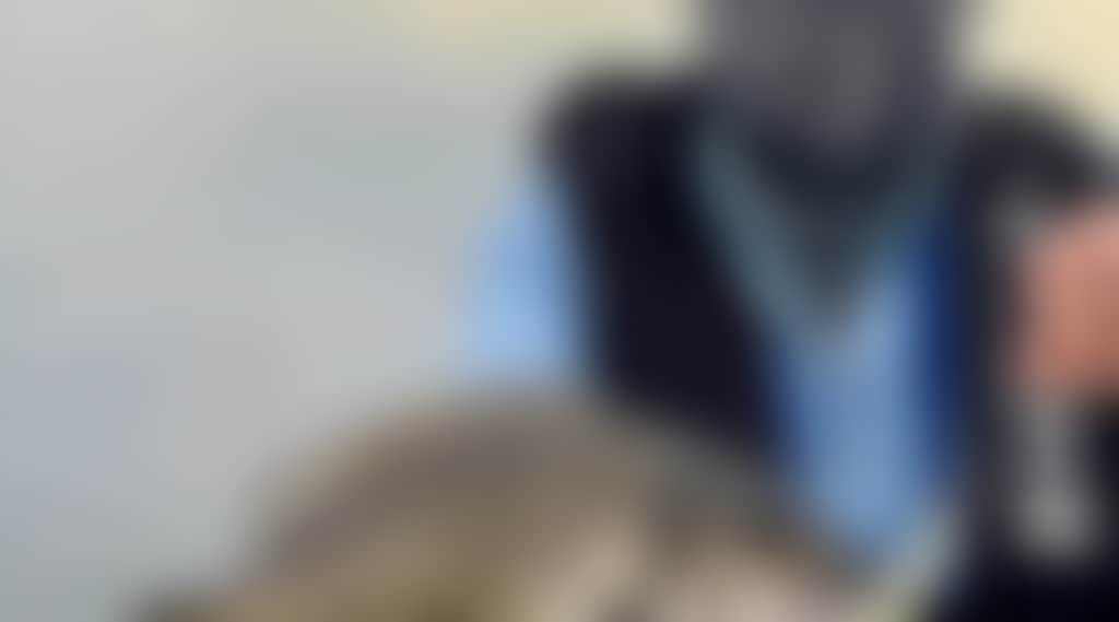 25E6A883C3575Aded72Aeddf76307E4B