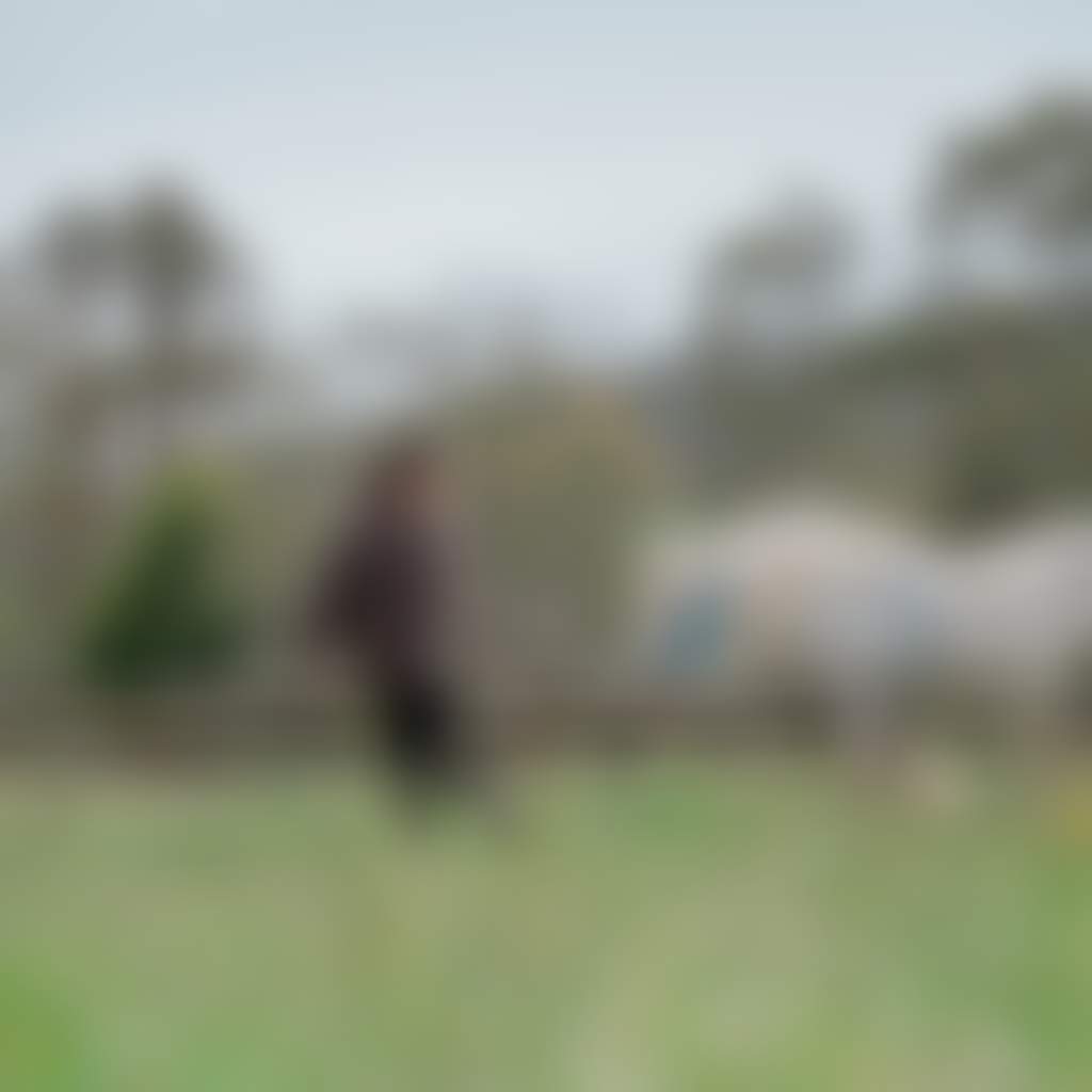 Girl leads a pony horse at Karoonda Park near Buchan