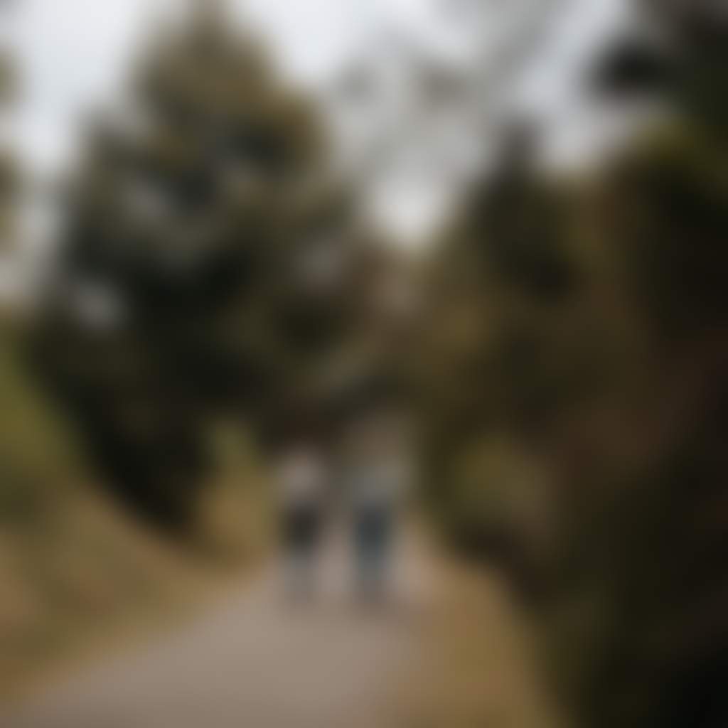 East Gippsland Rail Trail people walking through tunnel in Bruthen