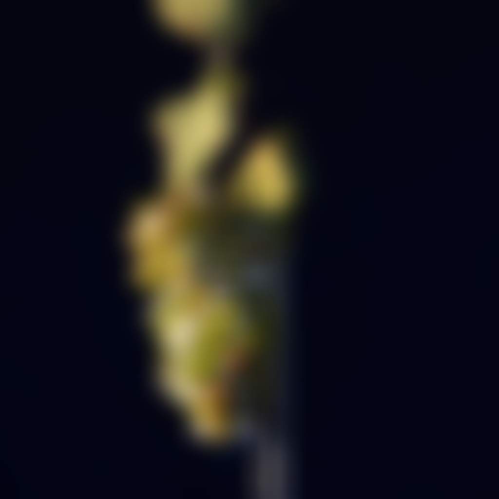 E1F43D8Fca979Af6F682E4A3Bfdef0B8