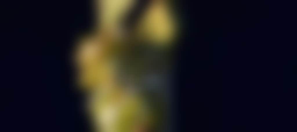 E1F43D8Fca979Af6F682E4A3Bfdef0B8