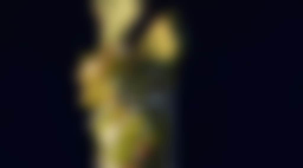 E1F43D8Fca979Af6F682E4A3Bfdef0B8