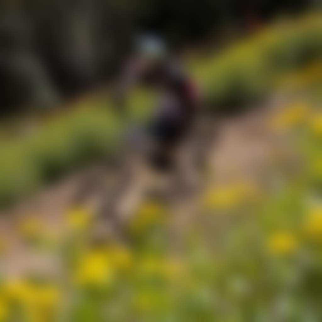Downhill MTB rider at Mt Baw Baw