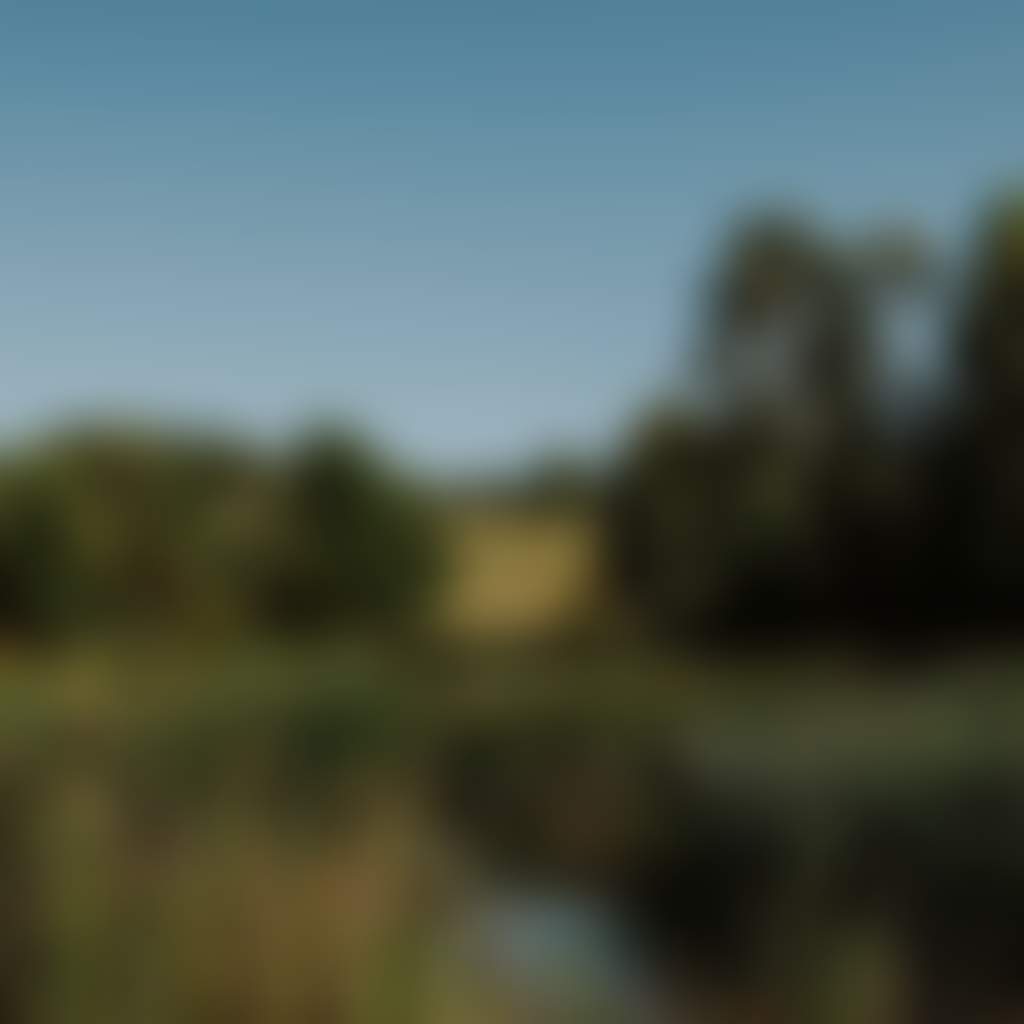 Neerim South Wetland view of lake with trees and paddocks in background 1