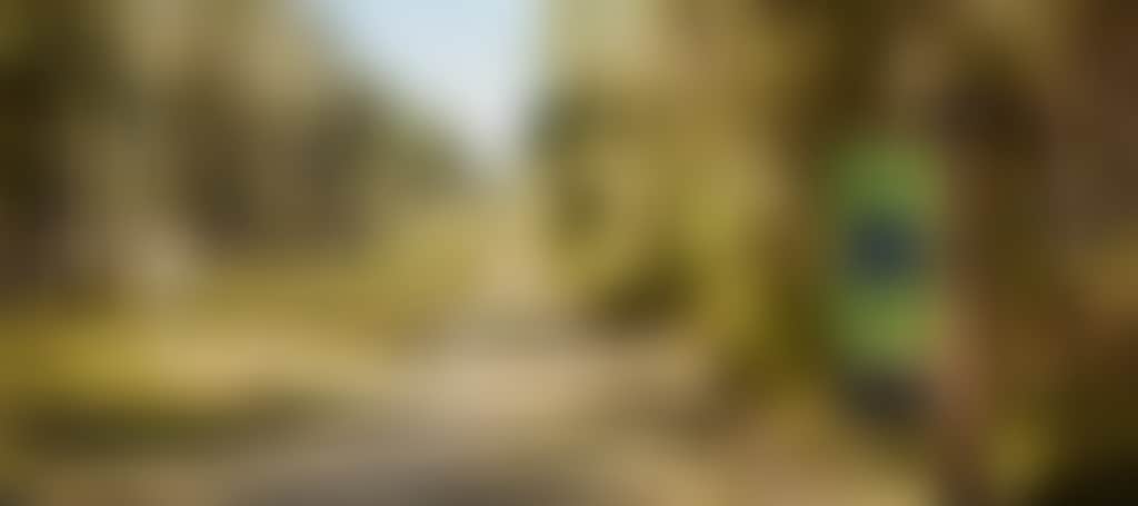 705210402803681Ab6E55Daa12F36320