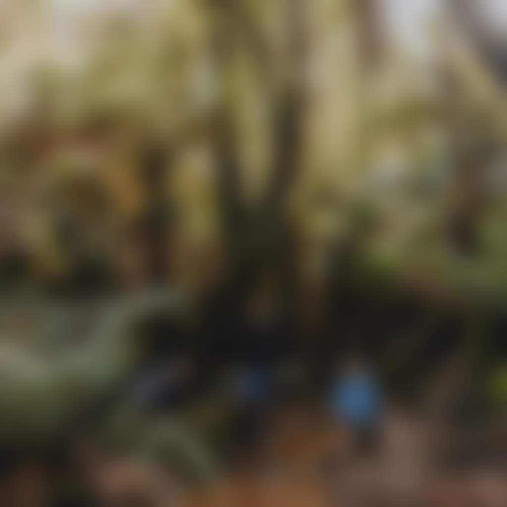Glen Nayook Reserve Nayook family playing in stream surrounded by forest