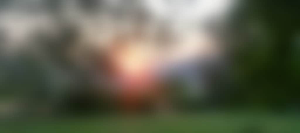 9C5D37B91Ca7B7De00Fbff6Dd30B2555