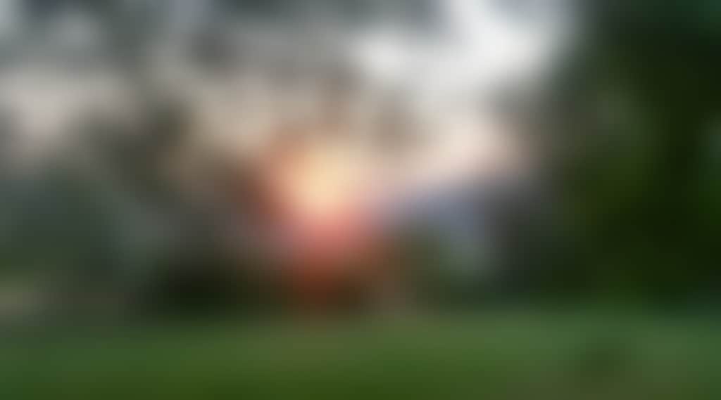 9C5D37B91Ca7B7De00Fbff6Dd30B2555