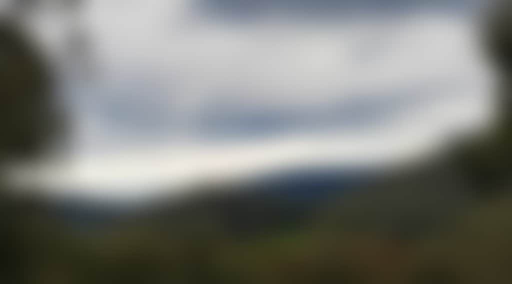 71B8B31Eb393310A51231321F42Dc74B