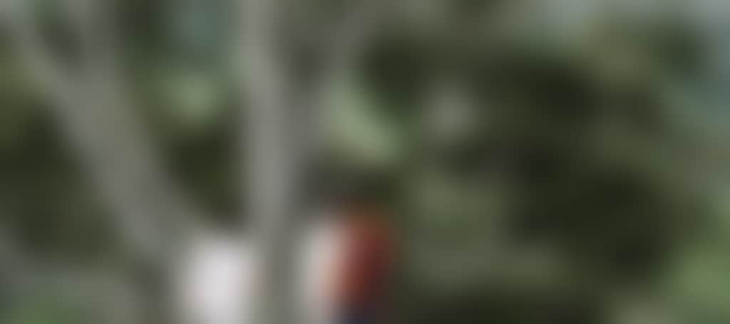 0Cc99107C2C0De0Ea591293A3765F6Bc