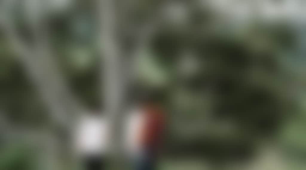 0Cc99107C2C0De0Ea591293A3765F6Bc