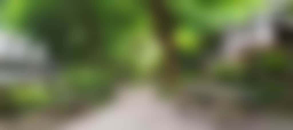 F019034B634B9540Dbbdbf7Cb69F43Ce