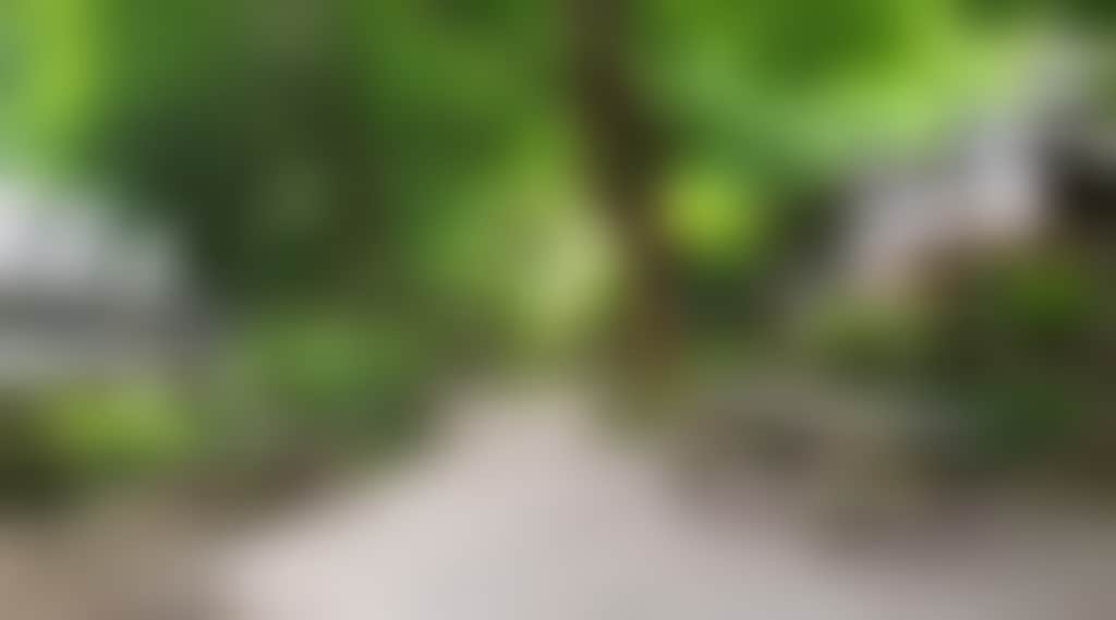 F019034B634B9540Dbbdbf7Cb69F43Ce