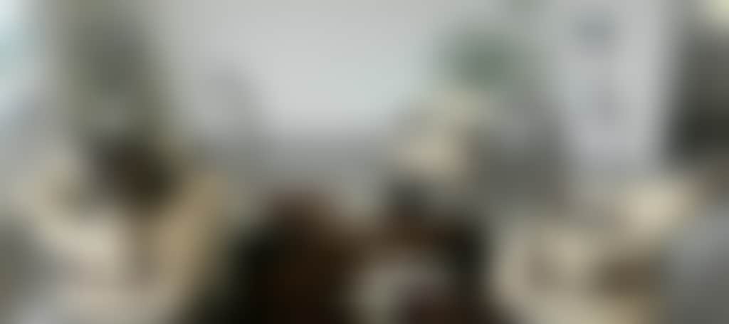 1D5B15Bc97477Fb6Af90903D891A724B