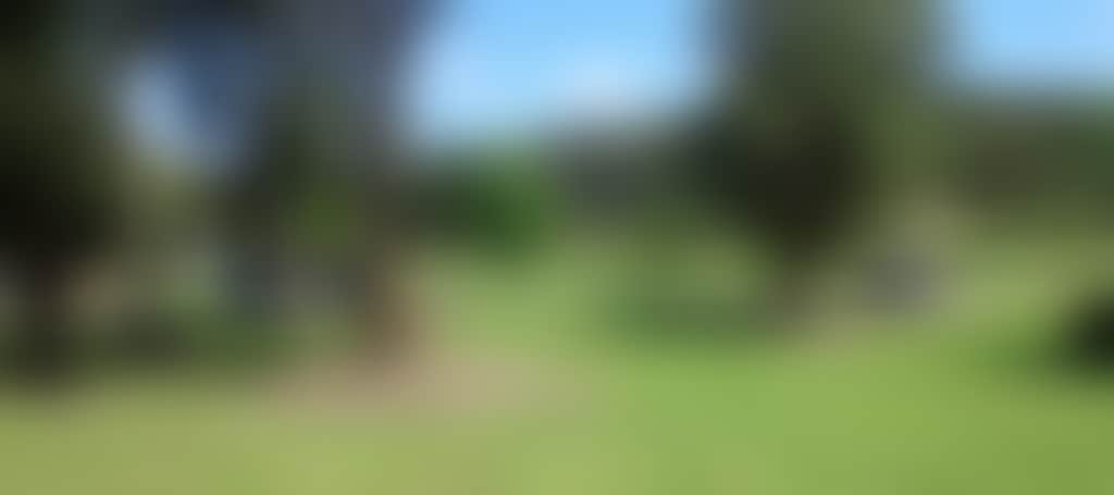 6Fd35E23A4B7B30F9Df6E7A3E06F601B