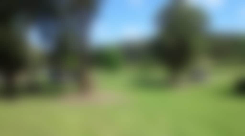 6Fd35E23A4B7B30F9Df6E7A3E06F601B