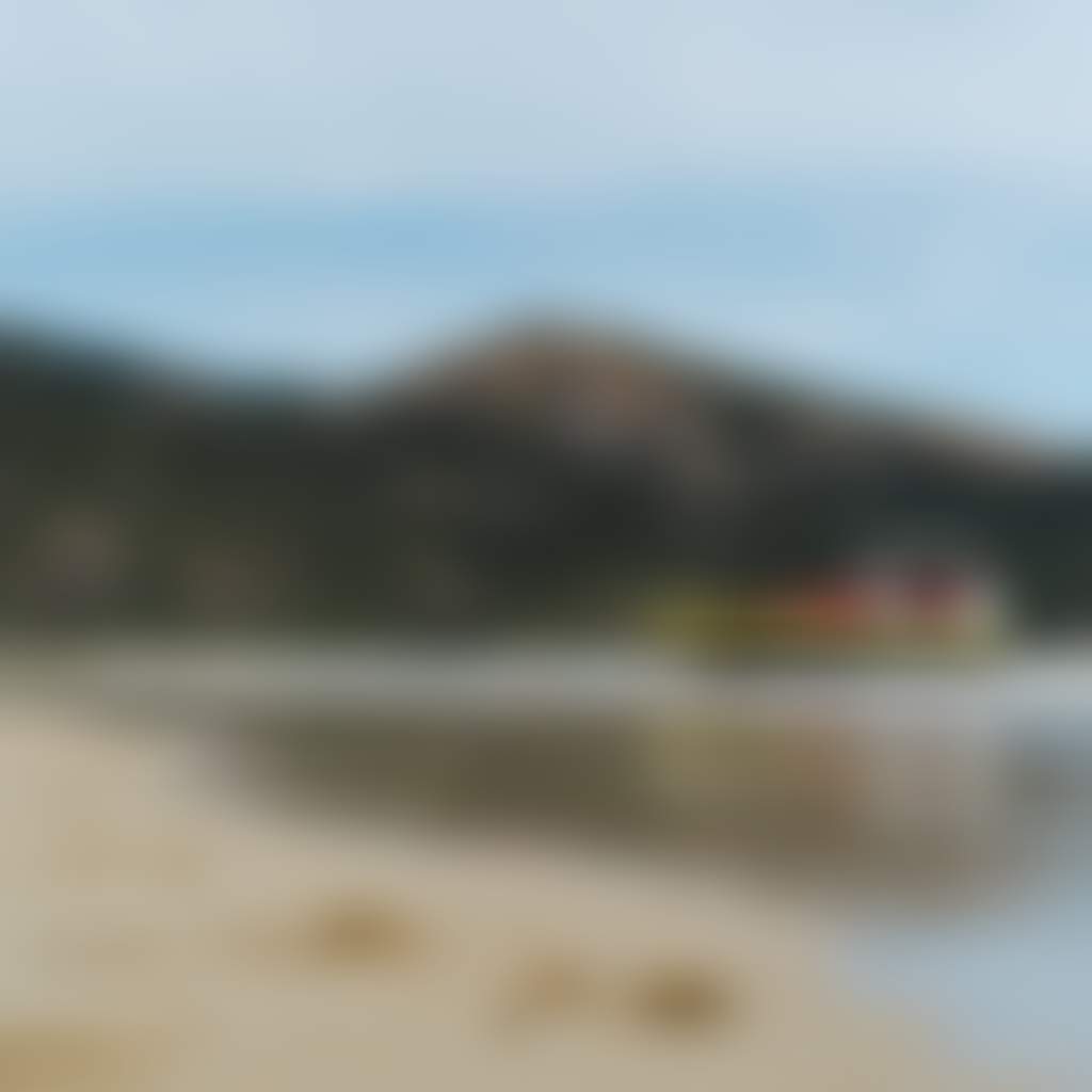 Wanderer Adventures Wilderness Cruise at Wilsons Prom yellow boat on shore