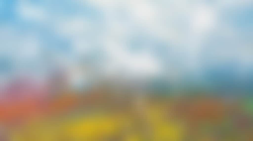 2957812224Cb1837189392974F916B64