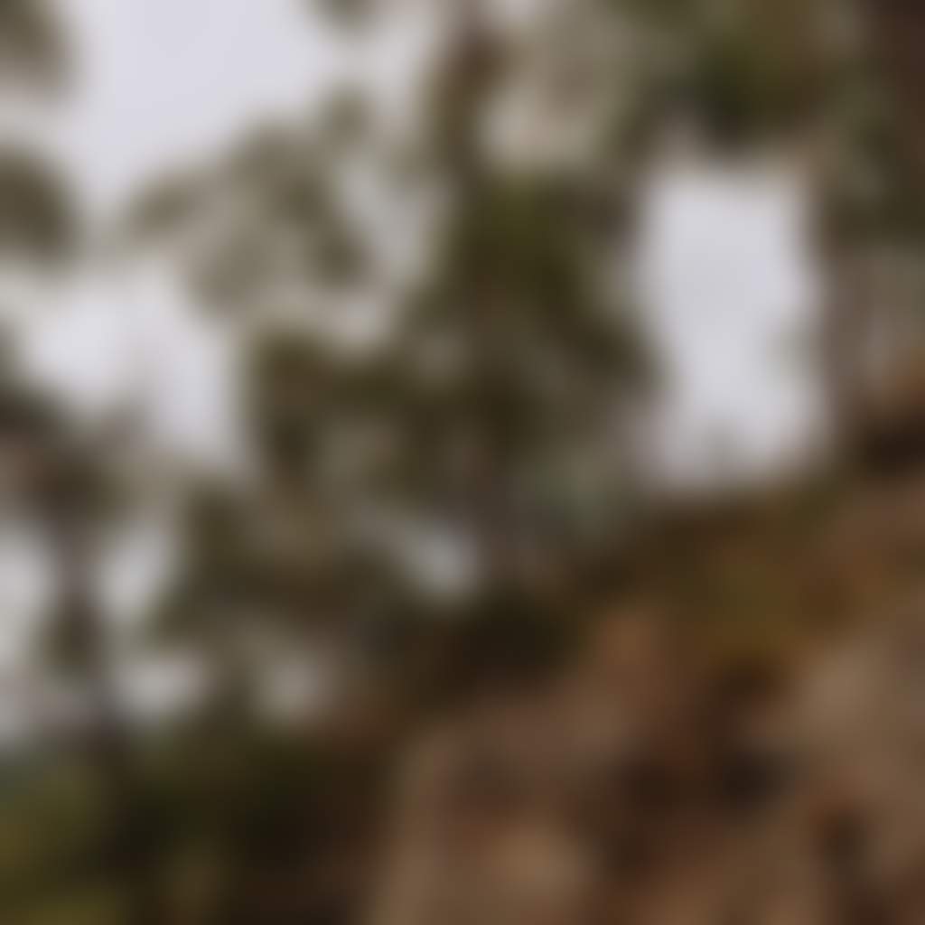 Couple overlooking Tyers Park from lookout point above boulders near Petersons Lookout