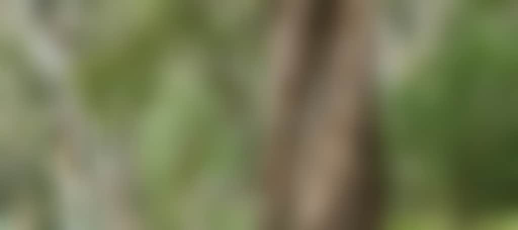 6Fa5C529Be2C0641Dfb06Fe9C958Afaa