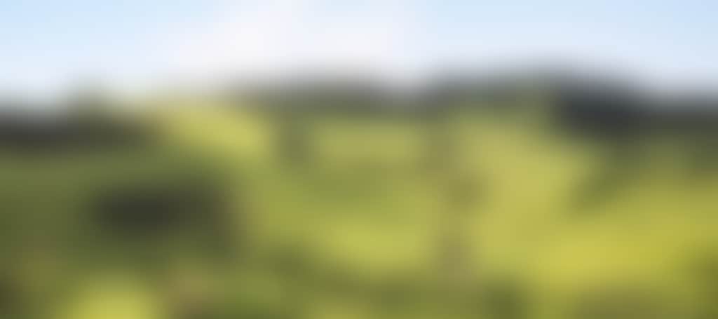 Rolling green hills with soft light hitting contours