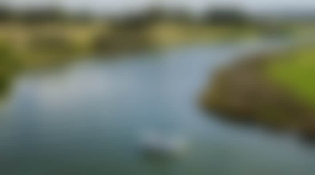 Nicholson River from Trestle Bridge