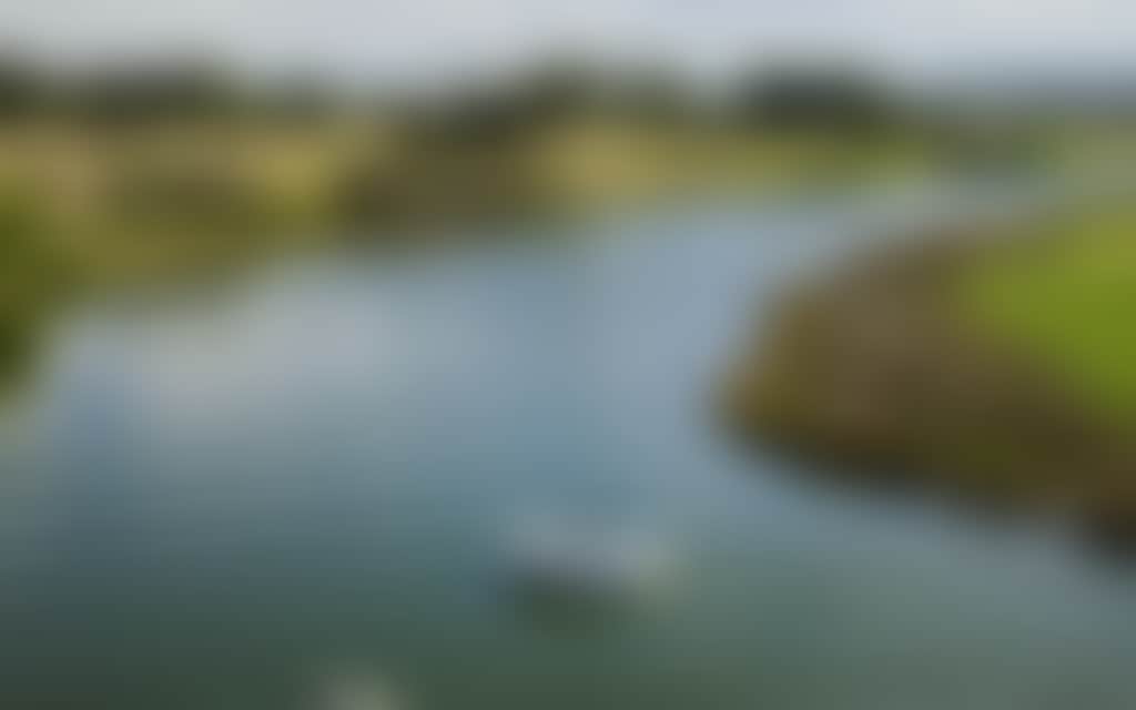 Nicholson River from Trestle Bridge