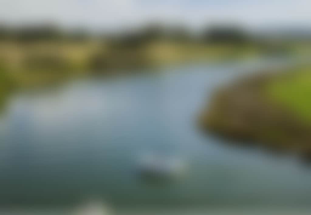 Nicholson River from Trestle Bridge