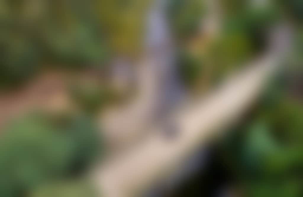 Thomson River car on bridge to Walhalla near swimming hole