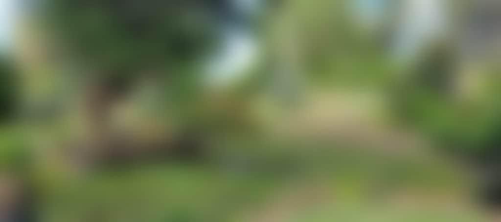 1D1C36963E766Fb0B546300E416Fd297