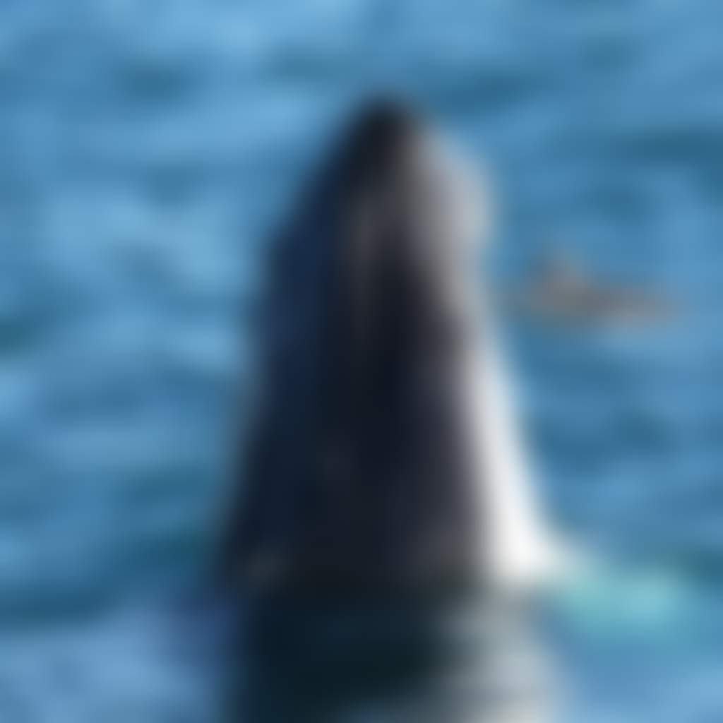 E596Acfcf492502F21288Afd1Ca82Dde