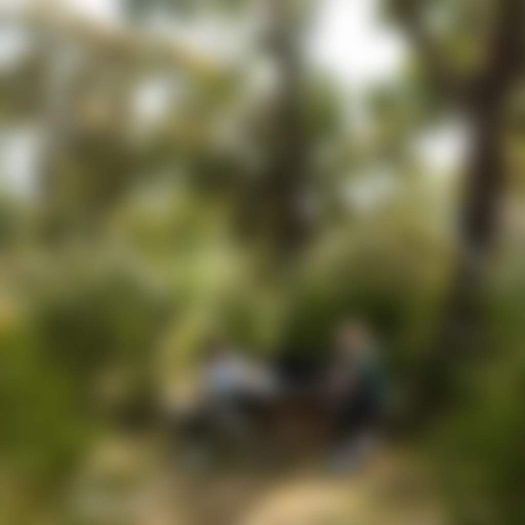 The Gurdies Reserve couple with dog sitting at picnic table in bushland