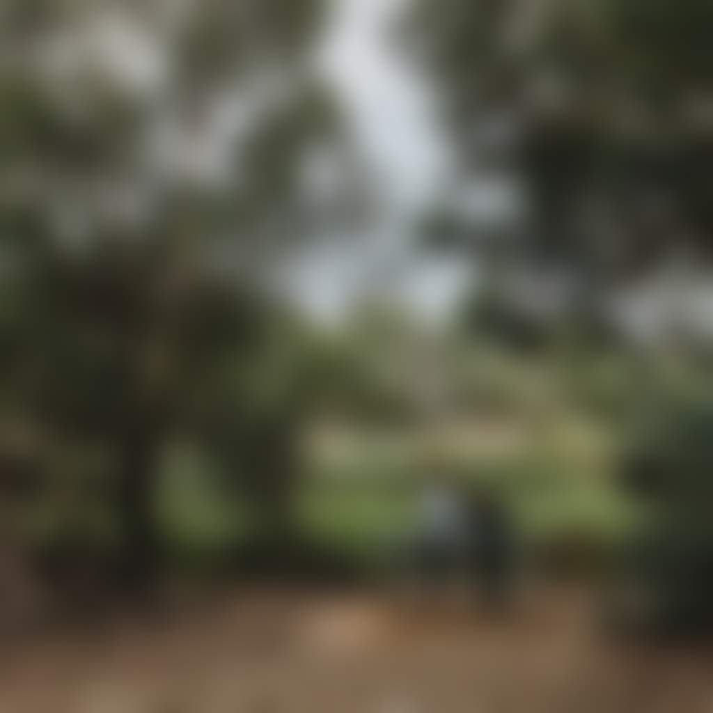 Couple at a picnic table at Traralgon Railway Reservoir Conservation Reserve