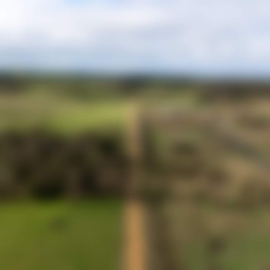 Bass Coast Rail Trail aerial of Wonthaggi to Inverloch trail