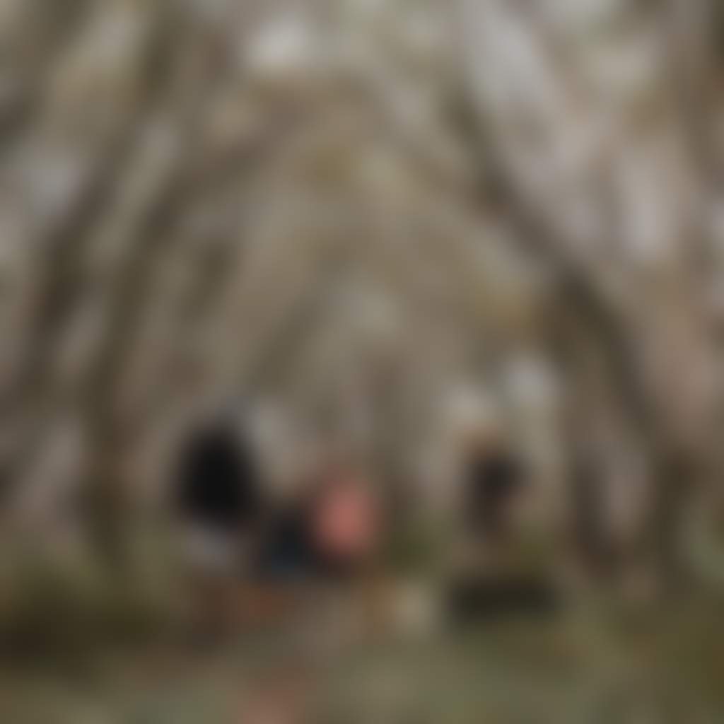Family walking dingoes at Mt Baw Baw in summer