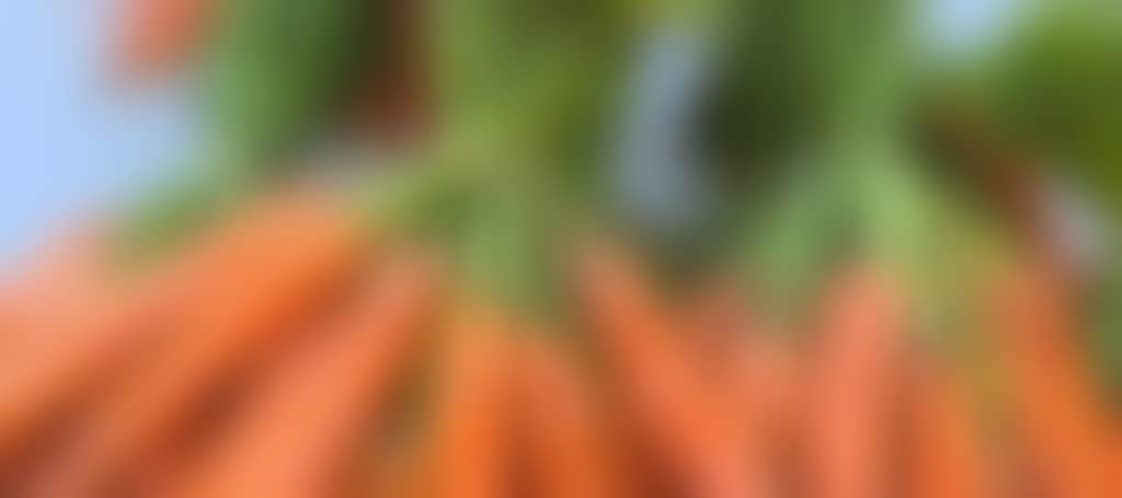 Generic produce image carrot