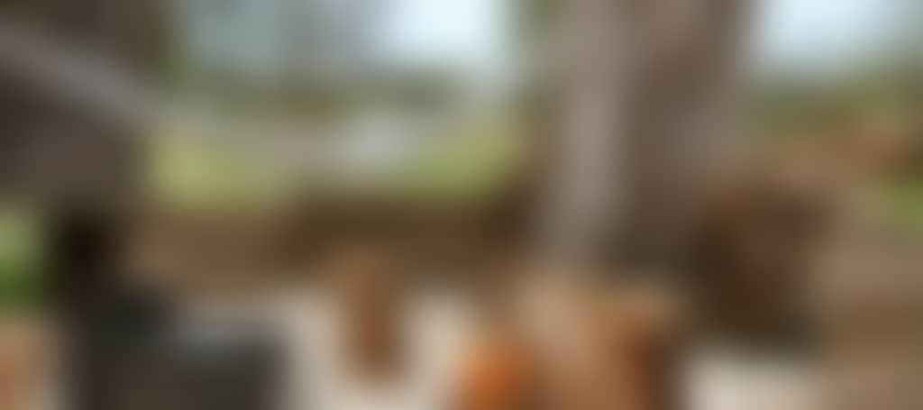 E49A8Ed2A94Ab3E857D1D06Dcdc08C07