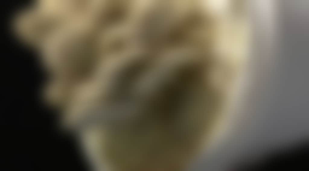 9218E4Bc69E289A8D38Be945036B0436