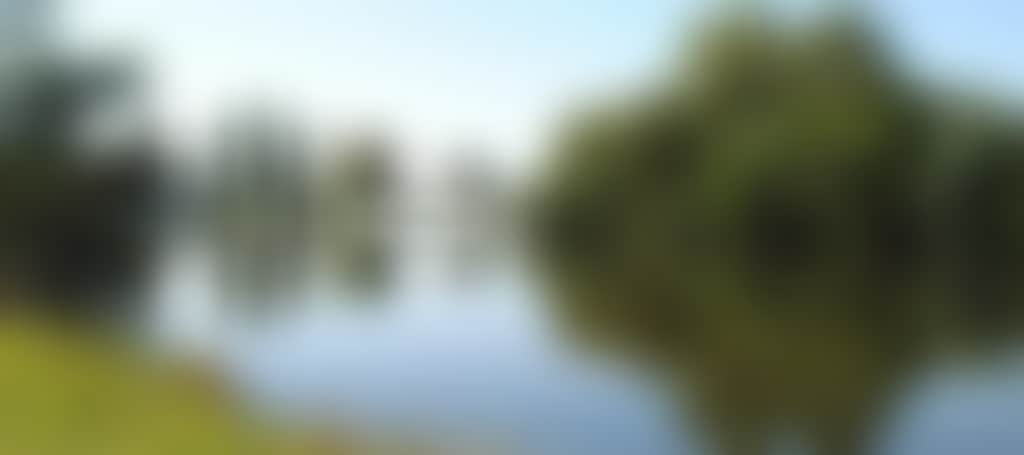 99617B341C716F79Cadd052Fc131A19D