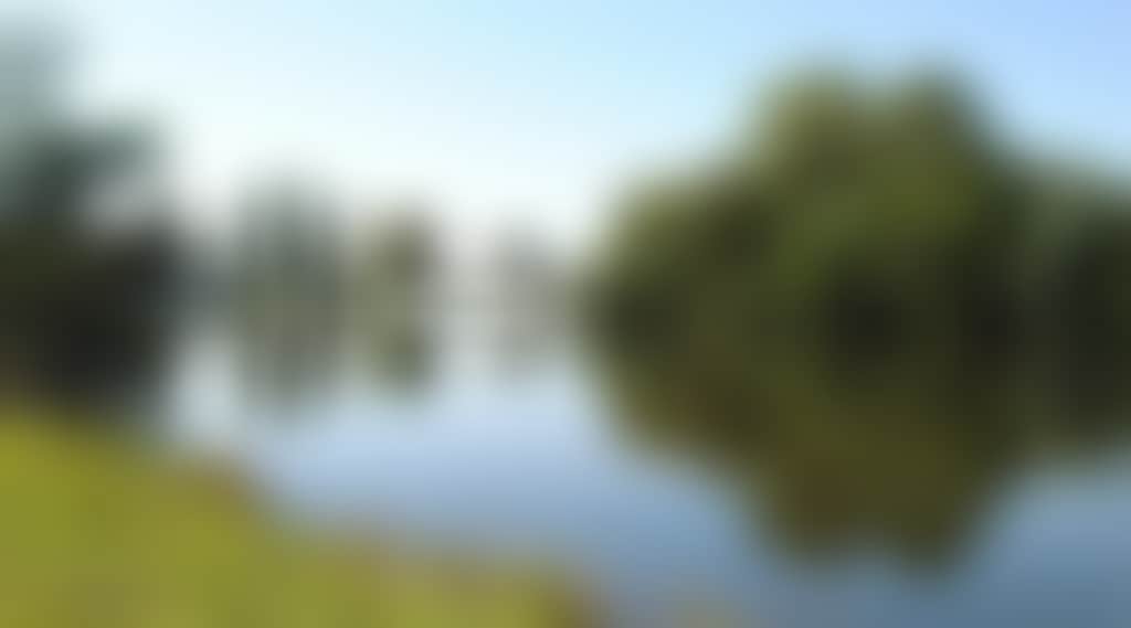 99617B341C716F79Cadd052Fc131A19D