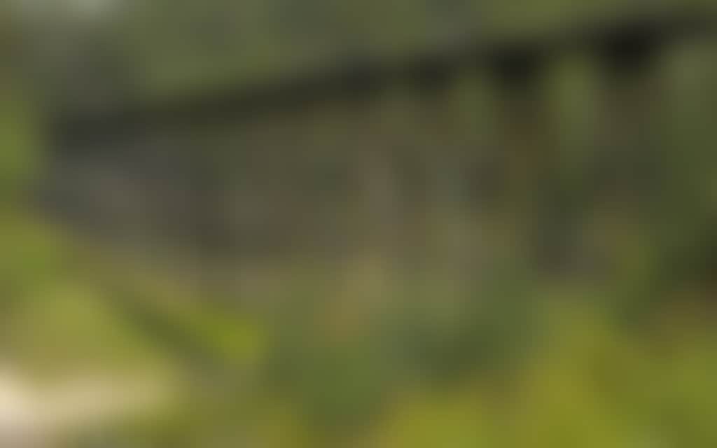 East Gippsland Trestle Bridge