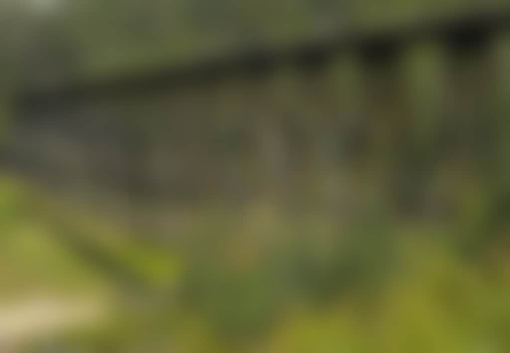 East Gippsland Trestle Bridge